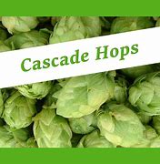 Cascade Hop Pellets 1 oz packet